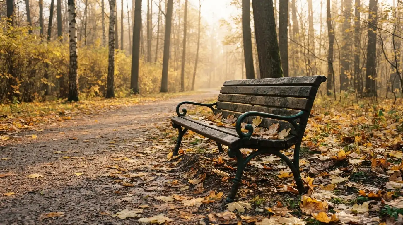 En tom parkbänk en höstmorgon, gula lönnlöv på stigen och låg sol mellan träden — svenska nätcasinon